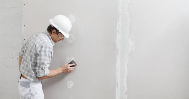 Best Commercial Mold Inspection  in Magee, MS