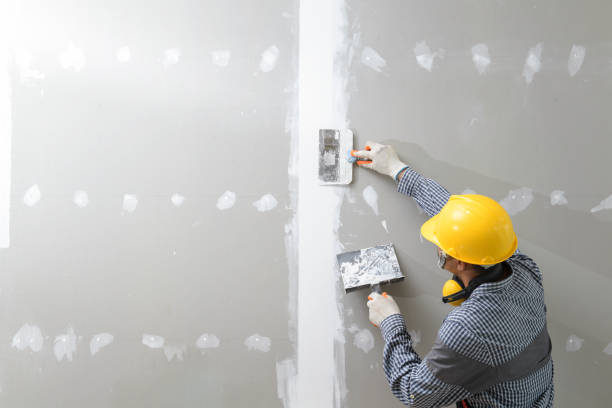 Best Mold Removal for HVAC Installations  in Magee, MS