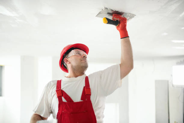 Best Industrial Mold Remediation  in Magee, MS